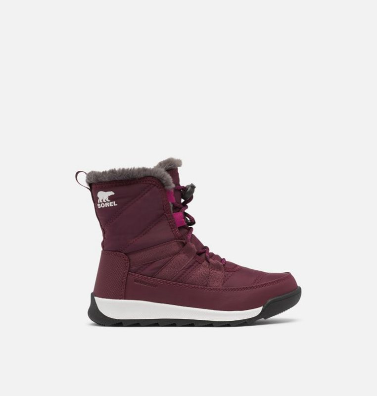 Kids Snow Boots Purple - Sorel Youth Whitney™ II Short Lace - 093-JPNBGH